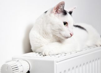 Strahlungswärme wird von Menschen angenehmer empfunden als Konvektionswärme. Daher sollten Sie Wärmeabgabesysteme vergleichen und die Vor- und Nachteile abwägen.