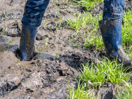 Darum den Garten entwässern: Stehengebliebenes Wasser behindert die Gartengestaltung und kann unter Umständen sogar zu Schäden am Haus führen.