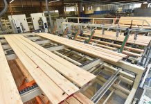 Wer Holz kaufen möchte, sollte unbedingt auf eine entsprechende Zertifizierung des Rohstoffes achten.