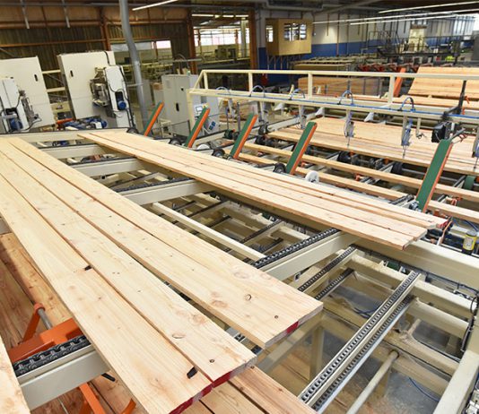 Holz und Siegel: So kaufen Sie den Naturbaustoff klimabewusst Wer Holz kaufen möchte, sollte unbedingt auf eine entsprechende Zertifizierung des Rohstoffes achten.