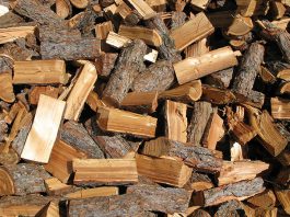 Wer in unseren Breiten Lärchenholz kaufen möchte, erhält meistens Holz der europäischen oder sibirischen Lärche.