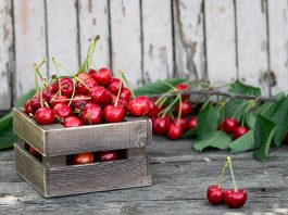Obstkisten werden nicht nur für die Lagerung von Früchten verwendet: Auch Möbel oder Dekoration lassen sich aus ihnen fertigen.