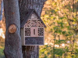 Insektenhotel