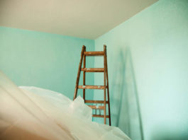 Wandfarbe kaufen: So deutlich unterscheiden sich die Produkte Wandfarbe, grüne Wand