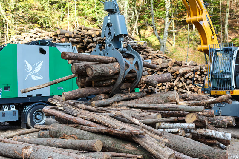 Brennholz aus der Region ist eine klimafreundliche Energiequelle.